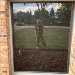 Meet your Posher, Frankie